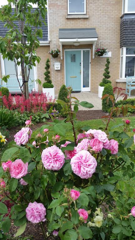 Kilcullen No.5 Bed & Breakfast المظهر الخارجي الصورة