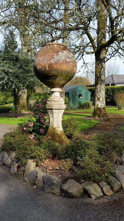 Kilcullen No.5 Bed & Breakfast المظهر الخارجي الصورة