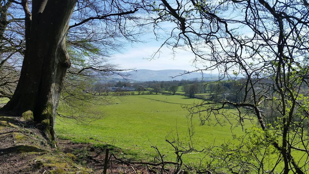Kilcullen No.5 Bed & Breakfast المظهر الخارجي الصورة