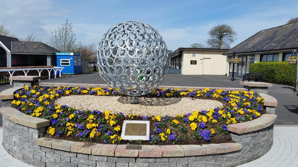 Kilcullen No.5 Bed & Breakfast المظهر الخارجي الصورة
